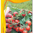 Томат (Помидор) Декоративный Балконое чудо  Бонсай Микро F1 Томат (Помидор) Декоративный Балконое чудо  Бонсай Микро F1