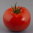 Томат Радостный Томат Радостный